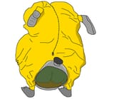 2354562