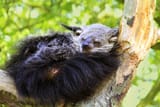a cat nap if you like