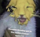 1548519932472