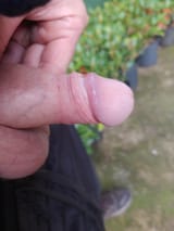 downl44477556oad