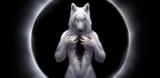 1537484810.wolnir_1213