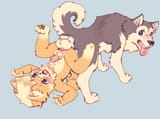 4700338_NaughtyPup_pupxdogcum