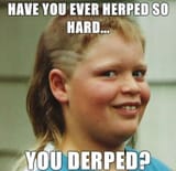 herp_derp