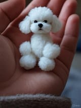 grok_image_xgny7xj
