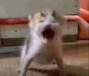 1733584483901090s
