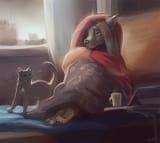 this furry is sick 1481207979040