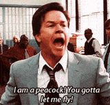 the-other-guys-mark-wahlberg