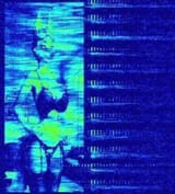 jamming radio with fur 1748245557619371
