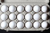 emptycarton