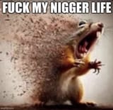 1000031658