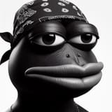 no