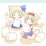 ALICE CATS MARSHMALLOWS