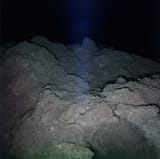 7643599742