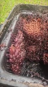 images (11)