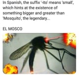 el-mosco-damage-100-intimidation-100-found-in-the-amazon-v0-c1mjvqvkozad1