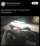 1752740440727