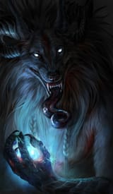 1598397114.wolnir_portr4__sm