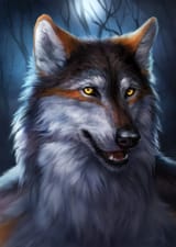 1599779337.wolnir_portrait_fa