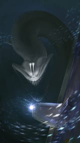 1351434363933