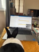 Bunputer