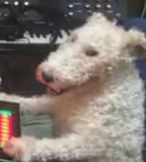 555555555