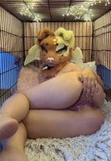 IMG_4534