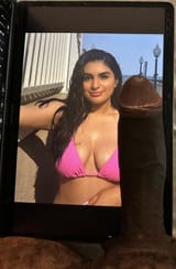 IMG_1546