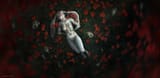 1651330317.wolnir_poppy_field_fa_sm