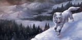 1651350918.wolnir_winter_jorv_fa