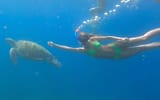 _swimbod