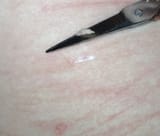 IMG_20250718_061006