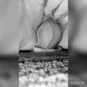 0gqmz4hp2okmnbdwwf6r7_source (1)_thumb.jpg