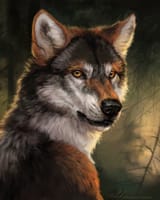 1708177644.wolnir_timber_fin_forfa