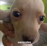 FB_IMG_1751745454918