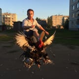 yujMcaK