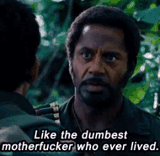 dumbass-dumb