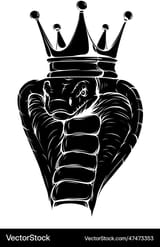 black-silhouette-of-king-cobra-snake-vector-47473353