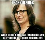 trans when being a regular gay won&#039;t do