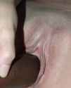 1747298388282_thumb.jpg