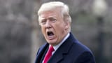 donald-trumps-questionable-tweets-regarding-the-january-6th-riot-1699887896
