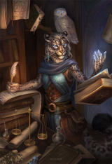 1733085242.wolnir_nym_fin_fa