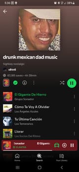 Screenshot_20240803-053657_Spotify