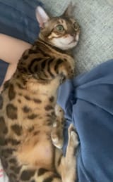 GwKUS9MWAAATGJG