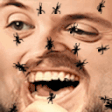 ants