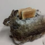 rabbit toaster 1732211024912214