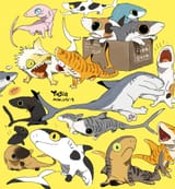 feline snark