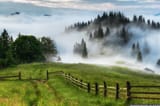 IMG_0081