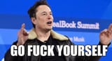 elon musk go fuck yourself