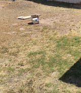 GOTTA KILL THAT GRASS. MAKING IT TOO DIRTY AROUND HERE
