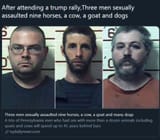 dogfuckertrump